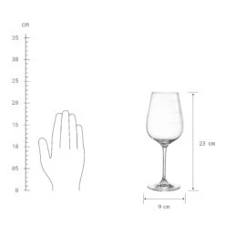 DON`T ASK Weinglas 480 Ml -Einrichtungsgeschäft 10219348 4