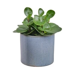 GLAZE Blumentopf Ø17cm -Einrichtungsgeschäft 10222088 1