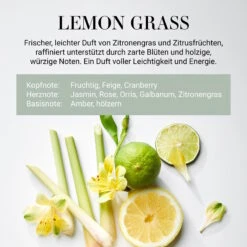 HOME & SOUL Raumduft No 4 "Lemon Grass" 250ml -Einrichtungsgeschäft 10223726 2