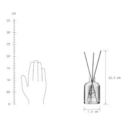 HOME & SOUL Raumduft No 7 "Cherry Blossom" 250ml -Einrichtungsgeschäft 10224415 2