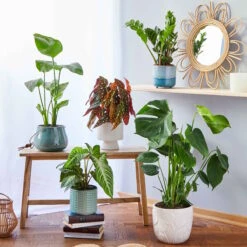 ROME Blumentopf Ø15cm -Einrichtungsgeschäft 10224658 4