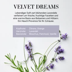 HOME & SOUL Duftkerze Velvet Dreams No. 3 Mit Sojawachs -Einrichtungsgeschäft 10225881 2
