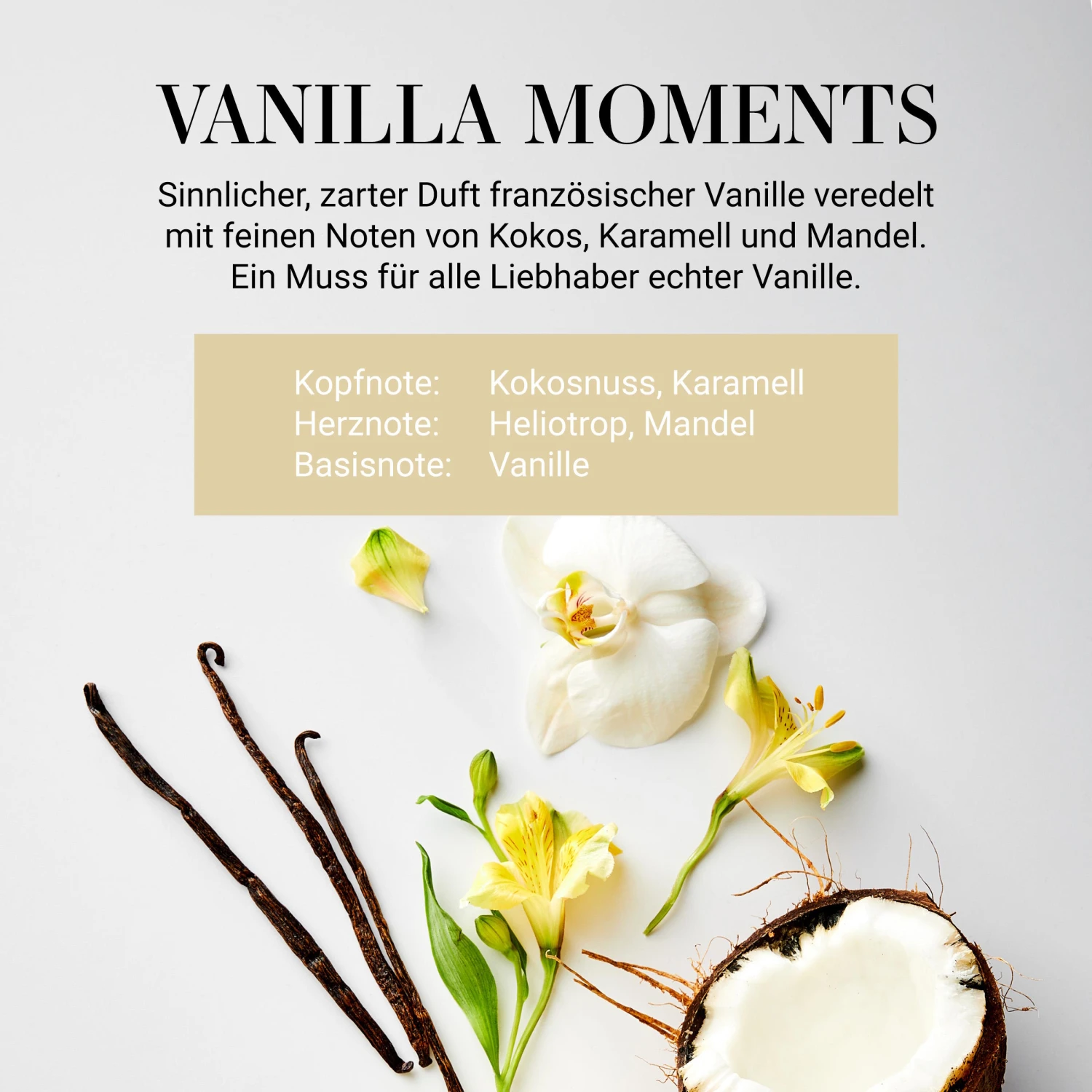 HOME & SOUL Duftkerze Vanilla Moments No. 6 Mit Sojawachs 5 HOME & SOUL Duftkerze Vanilla Moments No. 6 Mit Sojawachs – Bild 3