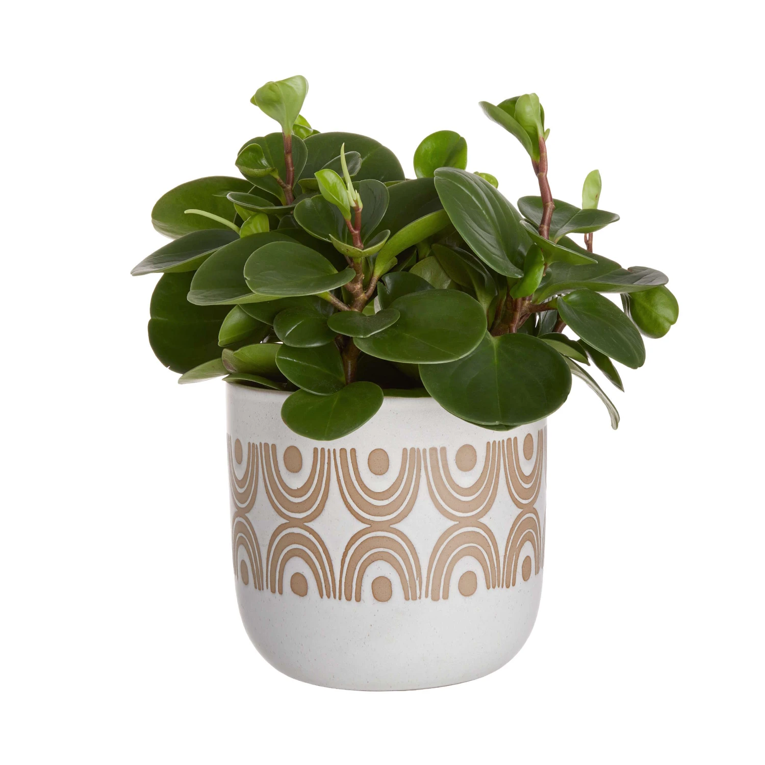 OVER THE RAINBOW Blumentopf Ø20cm 4 OVER THE RAINBOW Blumentopf Ø20cm – Bild 2