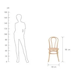 WIENER MELANGE Stuhl 2er-Set 16 WIENER MELANGE Stuhl 2er-Set -Einrichtungsgeschäft BUN01368 3